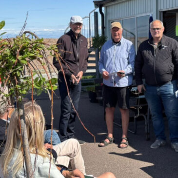 Stenens väg från berg till färdig produkt